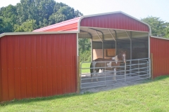 Regular Style Triple Wide Semi-Enclosed (and friendly horse)