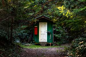 Can You Put a Bathroom in a Shed?
